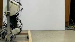 These biologically-inspired robotic legs are the most accurate yet
